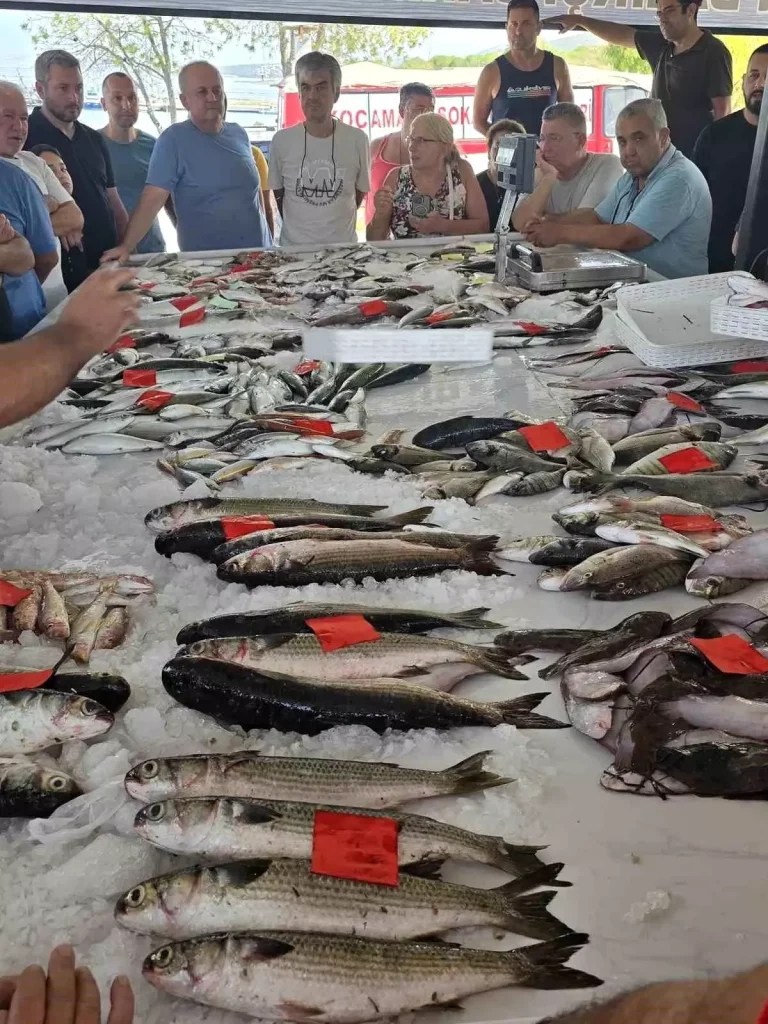 Didim’de İlk Balık Mezadı Gerçekleştirildi