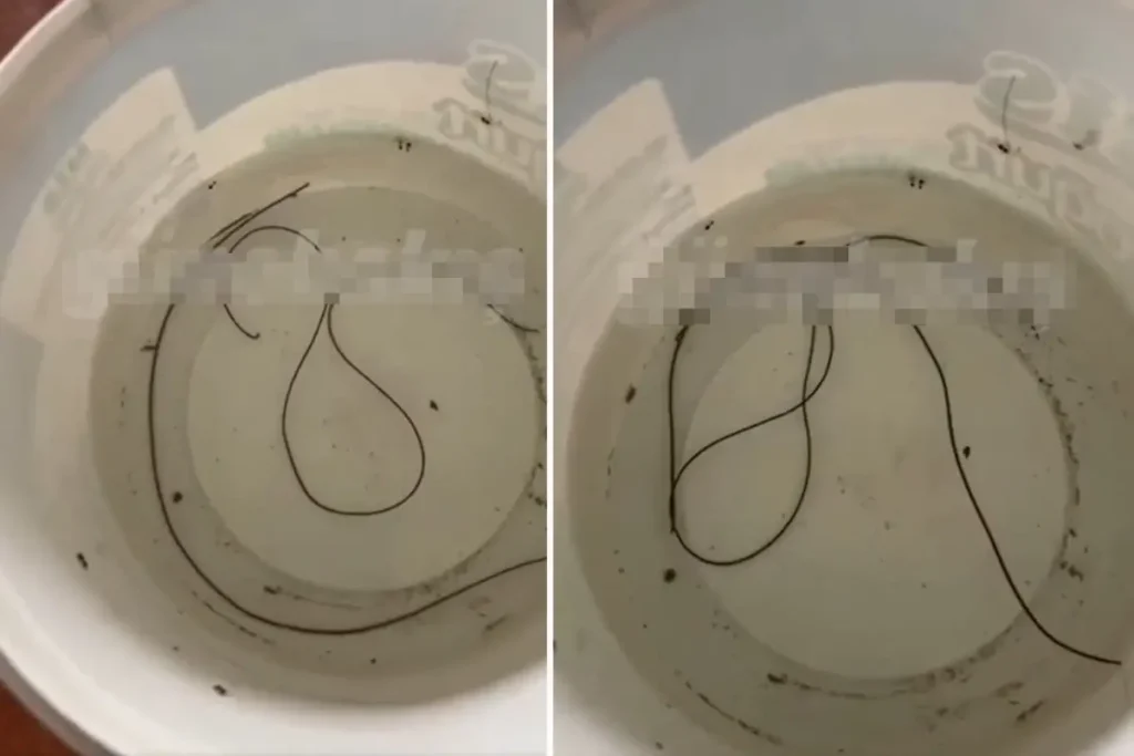 **Musluktan Çıkan Gizemli Cisim Şaşkınlık Yarattı**