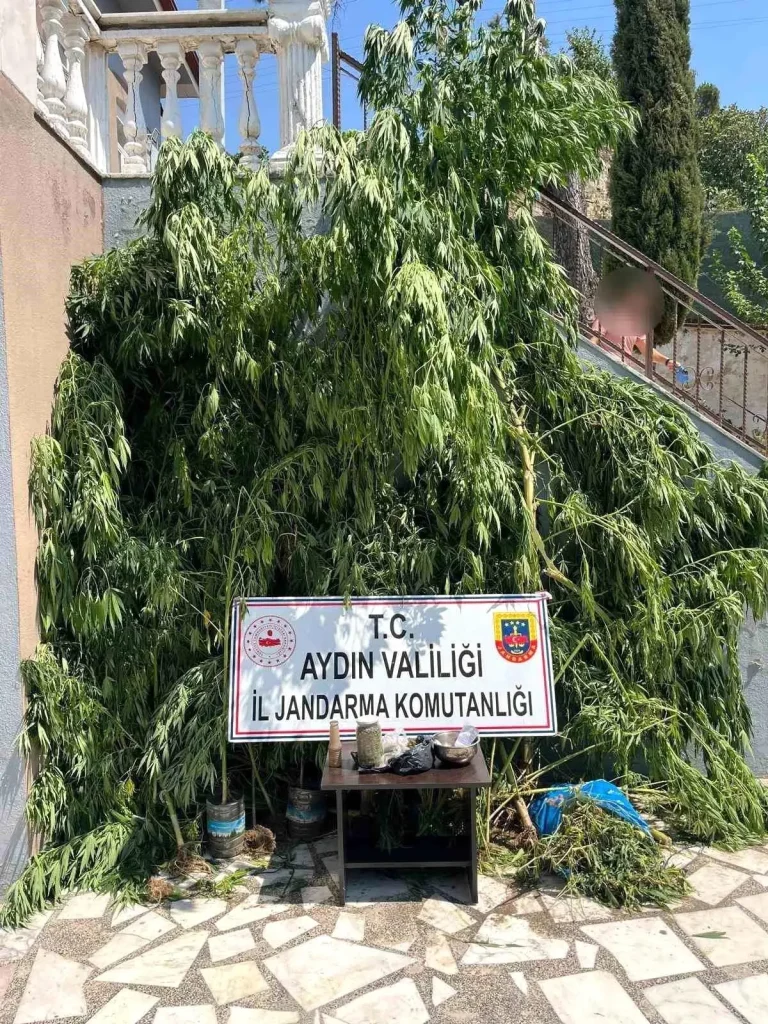 Uyuşturucu Operasyonunda Şüpheli Şahıs Gözaltında