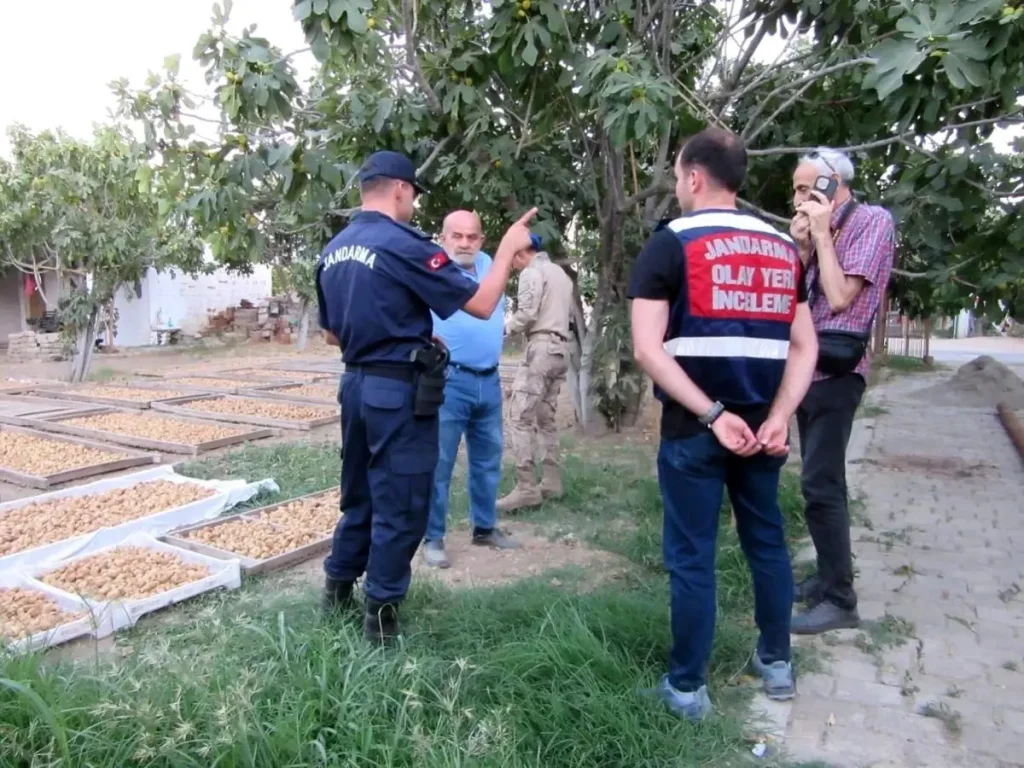 İncir Hırsızlığına Karşı Jandarma Denetimi