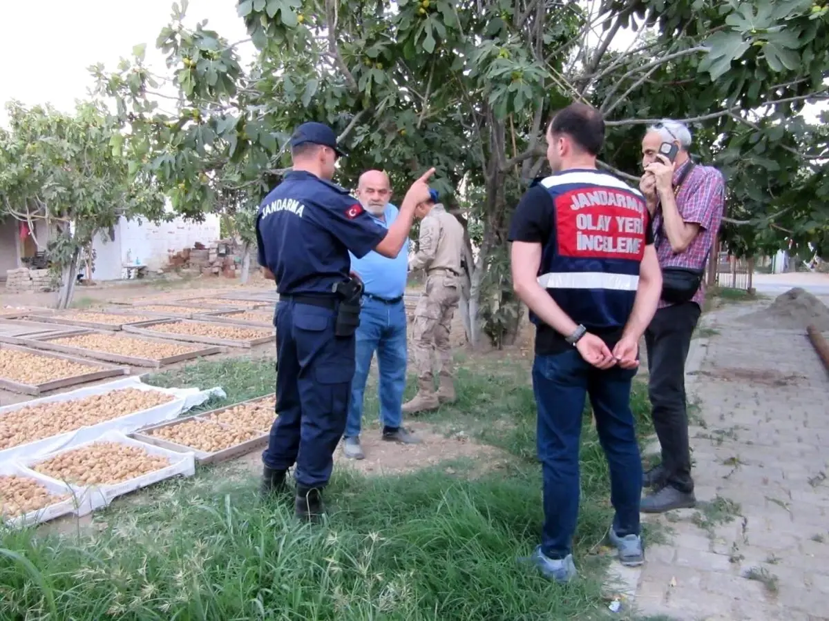 İncir Hırsızlığına Karşı Jandarma Denetimi