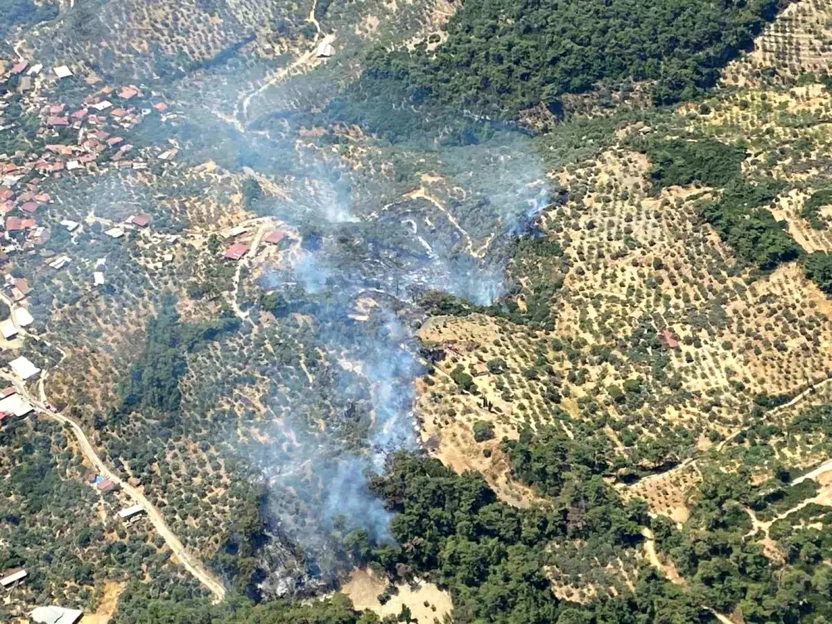 Ekipler Yangınla Mücadelede