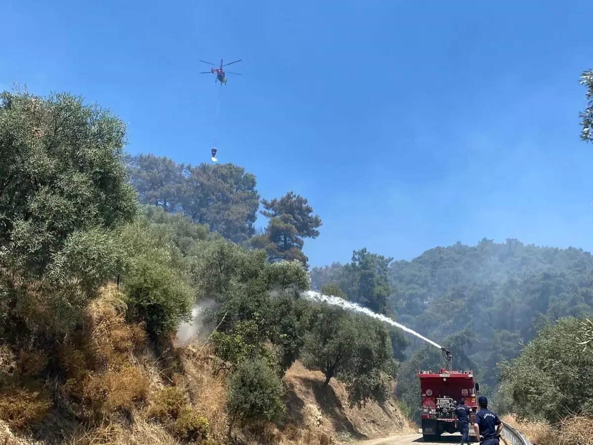 Hızlı Müdahale ile Orman Yangını Kontrol Altına Alındı