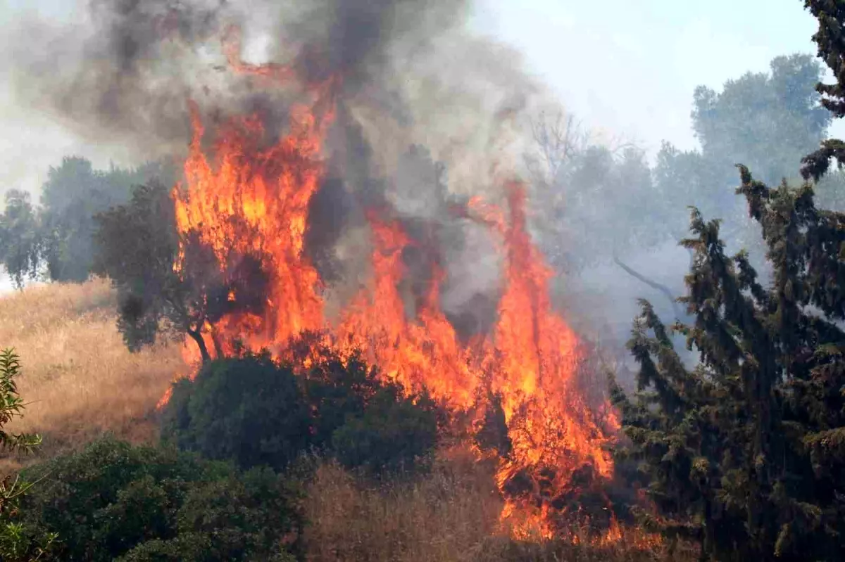 **Havaya Ateş Açan Şahıslar Yangına Sebep Oldu**