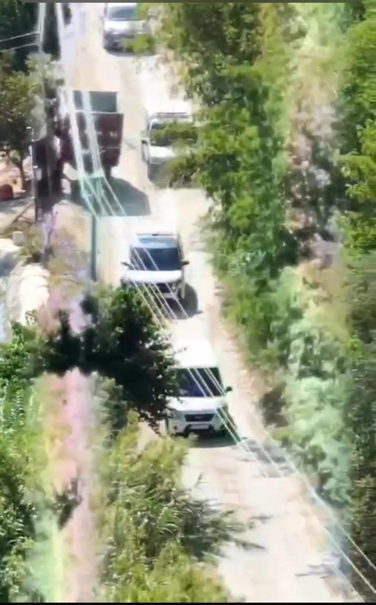 Uyuşturucu Operasyonunda 45 Kök Hint Keneviri Ele Geçirildi