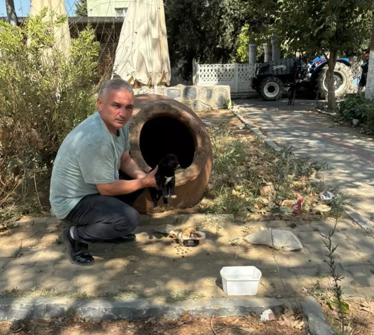 Hayvanseverleri Kızdıran Olay: Zehirlenen Köpek ve Kediler