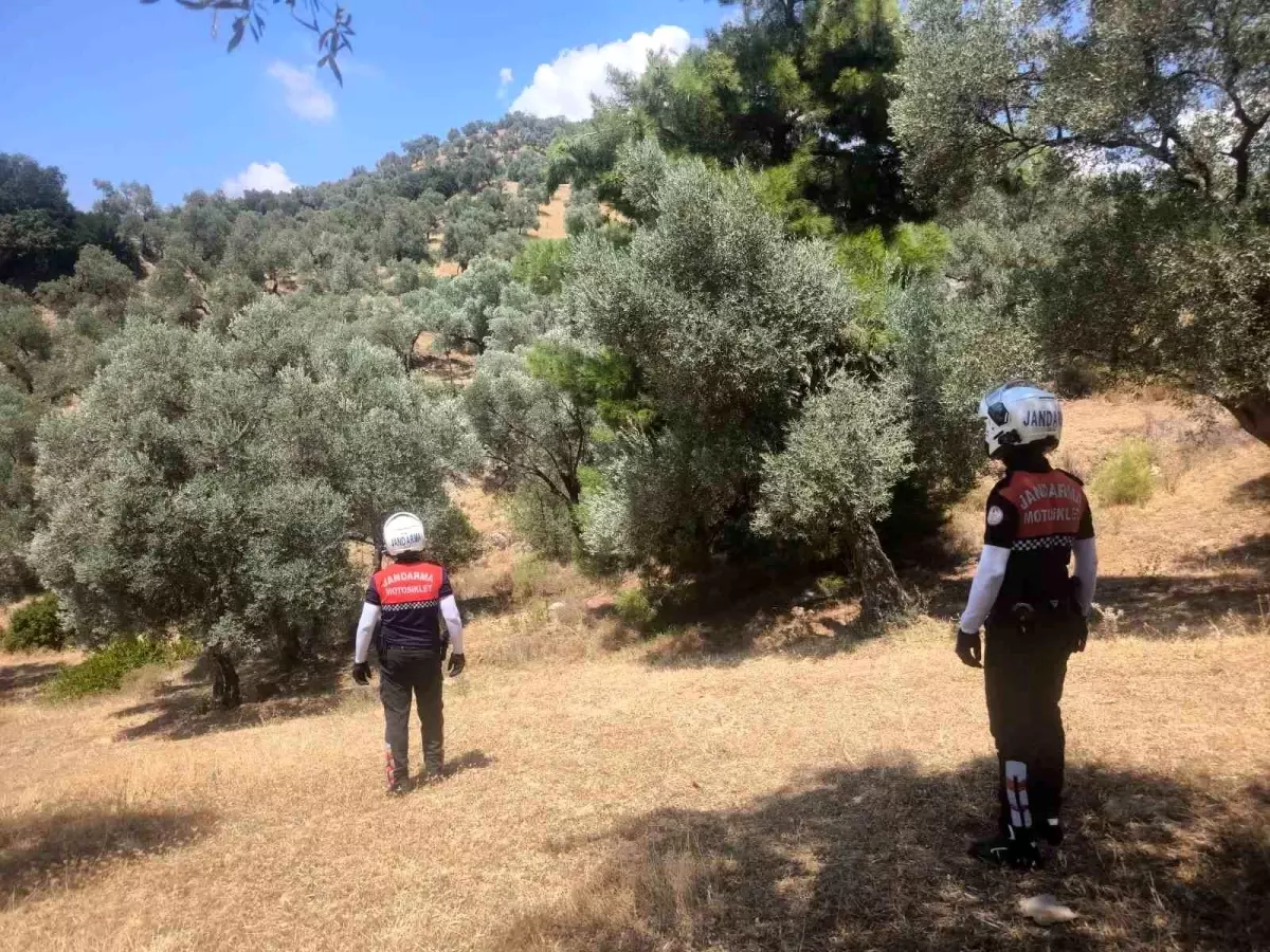 Jandarma Aydın’da Orman Yangınlarına Karşı Harekete Geçti