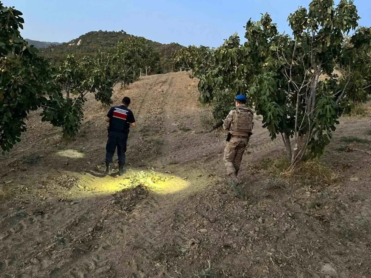 Jandarma Incir Hırsızlarına Karşı Mücadelede