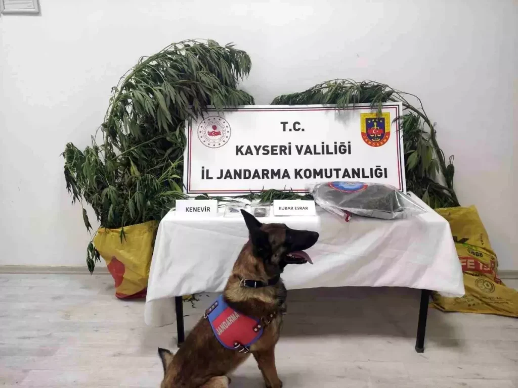 Kayseri’de Jandarma Ekiplerinden Uyuşturucu Operasyonu