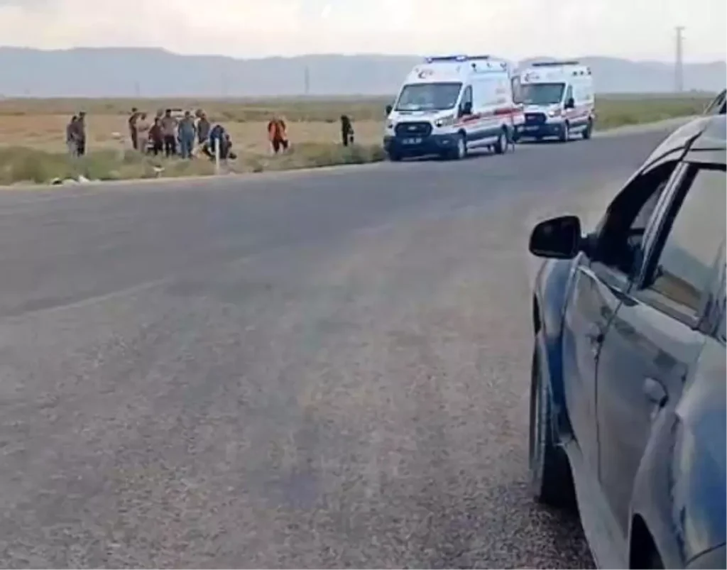 Trafik Kazası: 2 Ölü, 1 Yaralı