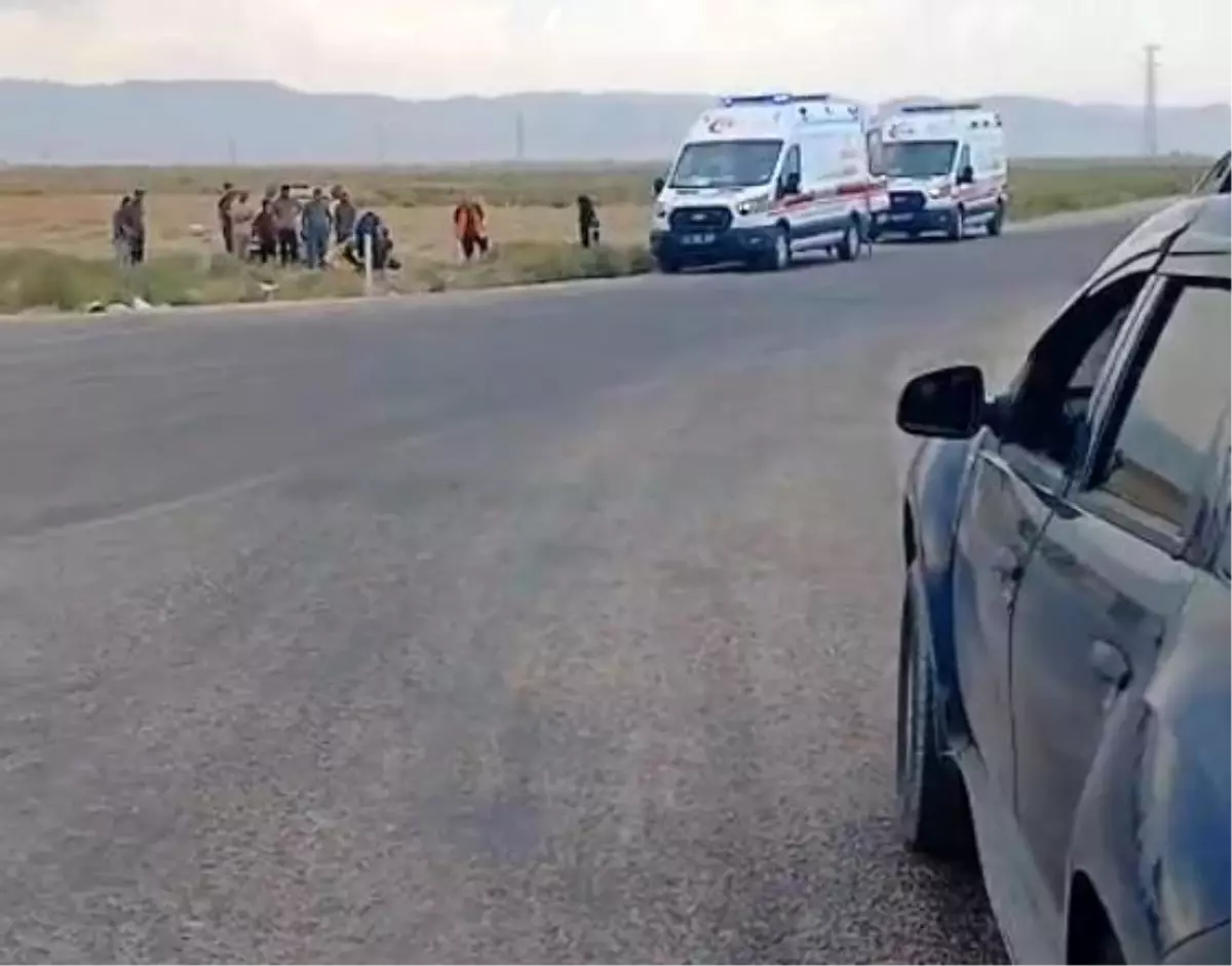 Trafik Kazası: 2 Ölü, 1 Yaralı