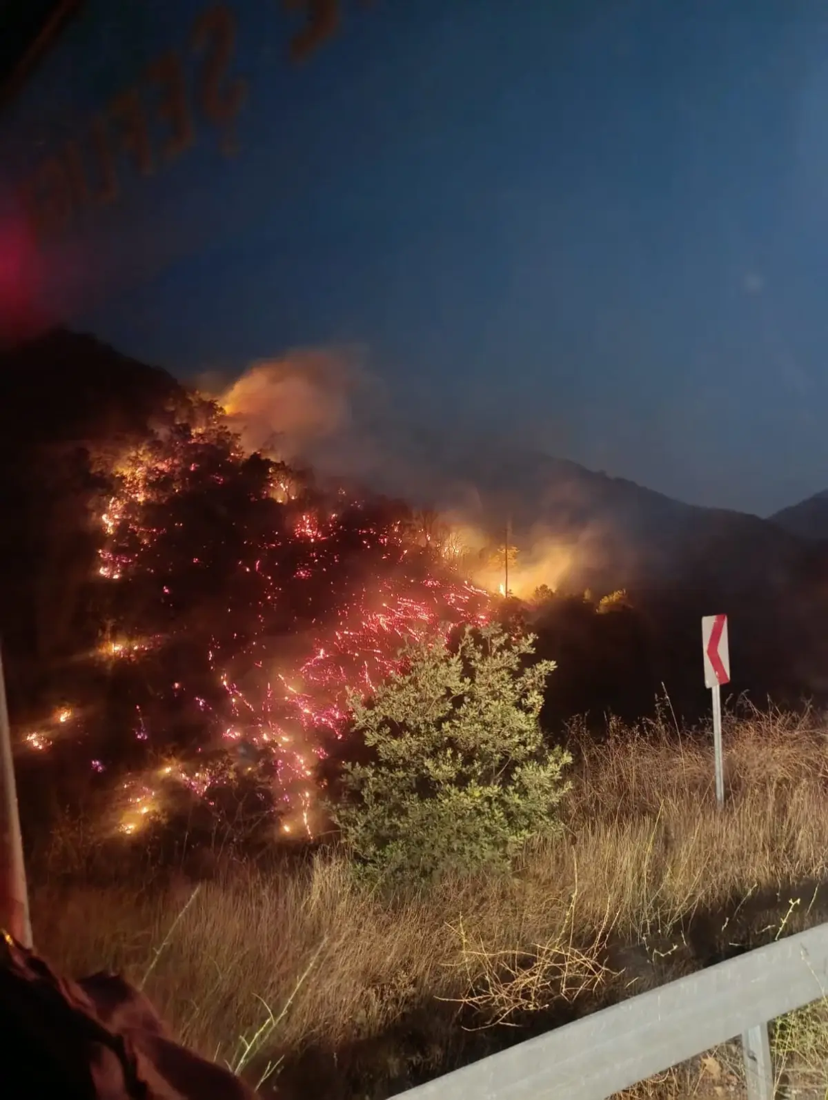 “Nazilli’de Ormana Zarar Veren Yangın Kontrol Altına Alındı”