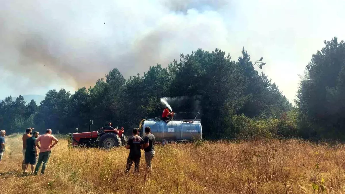 Orman Yangını İçin Çok Sayıda Ekip Sevk Edildi
