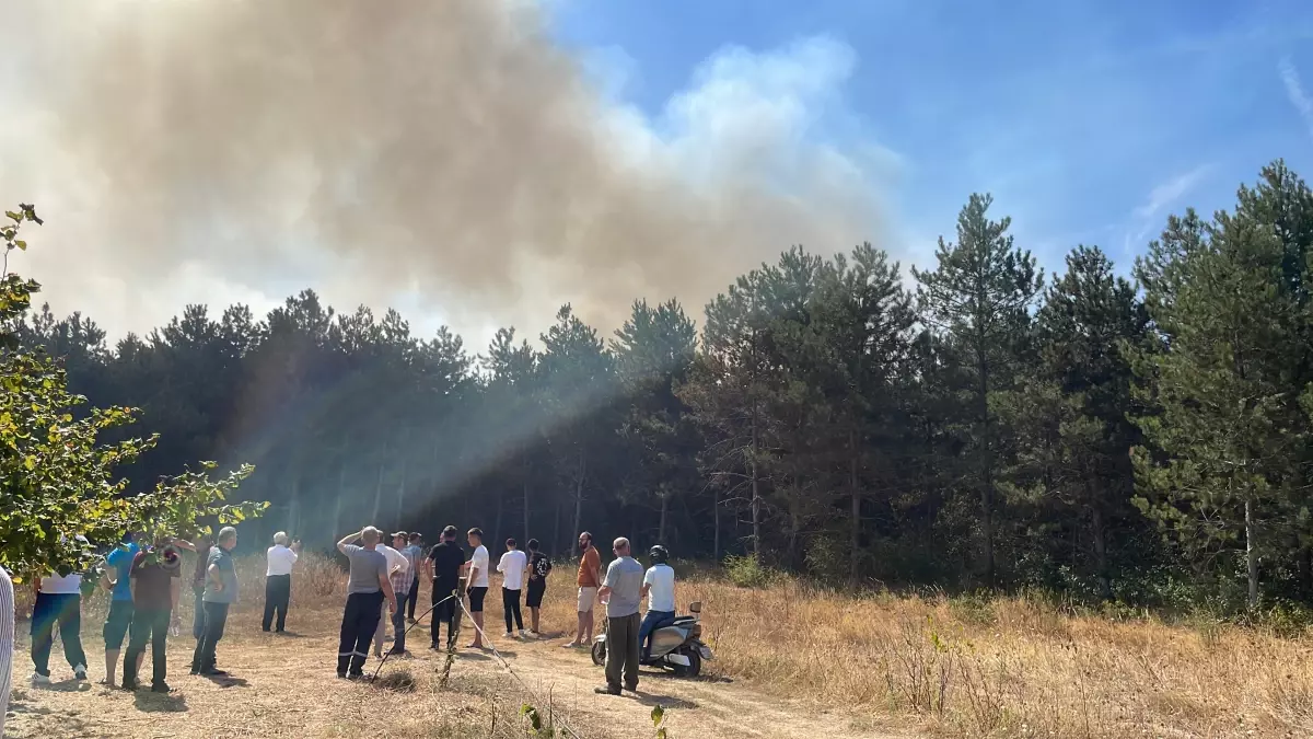 Sakarya’da Orman Yangını: Ekipler Müdahaleye Başladı