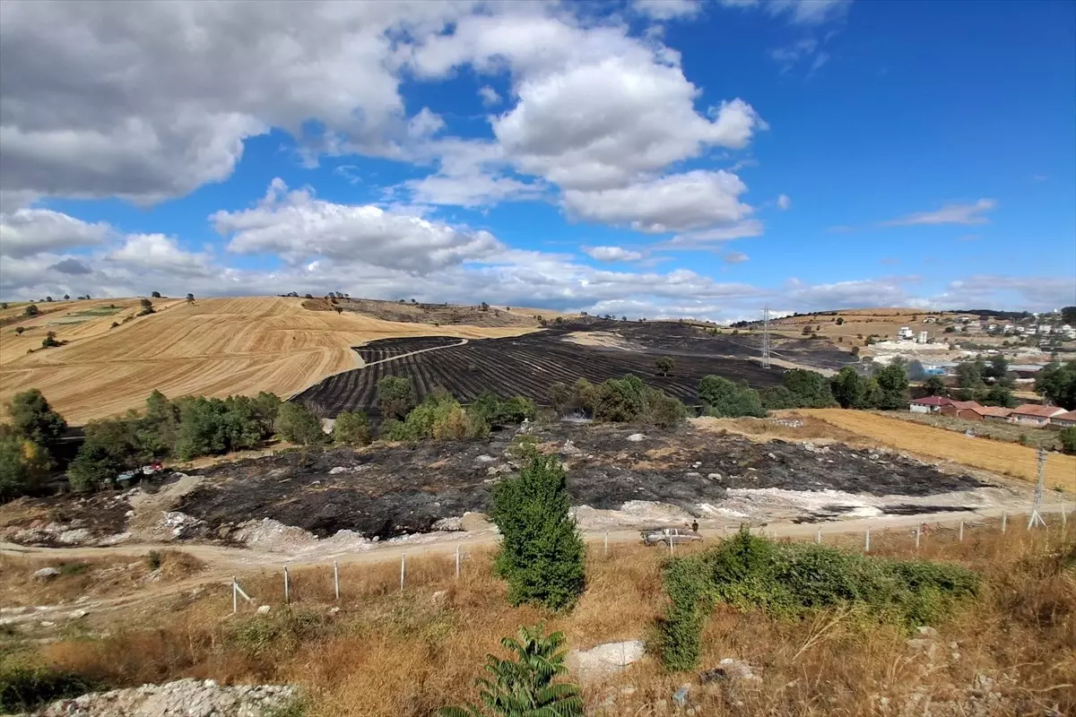 Samsun’da Anız Yangınları Kontrol Altına Alındı