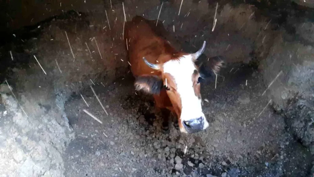 İtfaiye Ekiplerinden Başarılı Kurtarma Operasyonu