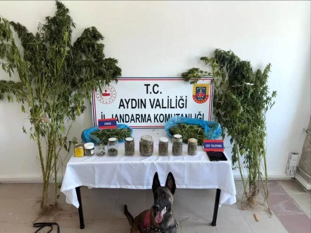 Uyuşturucu Ticareti Yapana Jandarma Darbesi