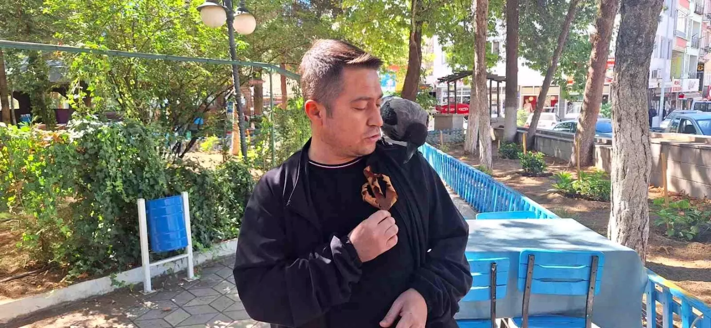 **Karga, İskilip’in Yeni Maskotu Haline Geldi**