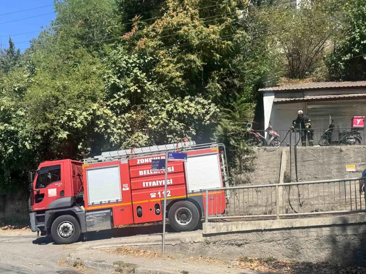 “Zonguldak’ta Ormanda Yangın: Hızlı Müdahaleyle Zarar Önlenlendi”