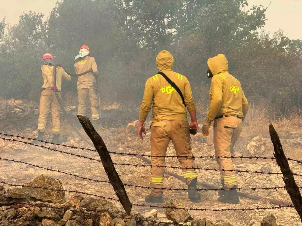 Kastamonu’da Orman Yangını Köye Sıçradı: 3 Ev Yandı