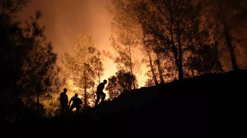 Muğla’da Orman Yangınlarıyla Mücadele Gece Gündüz Devam Ediyor