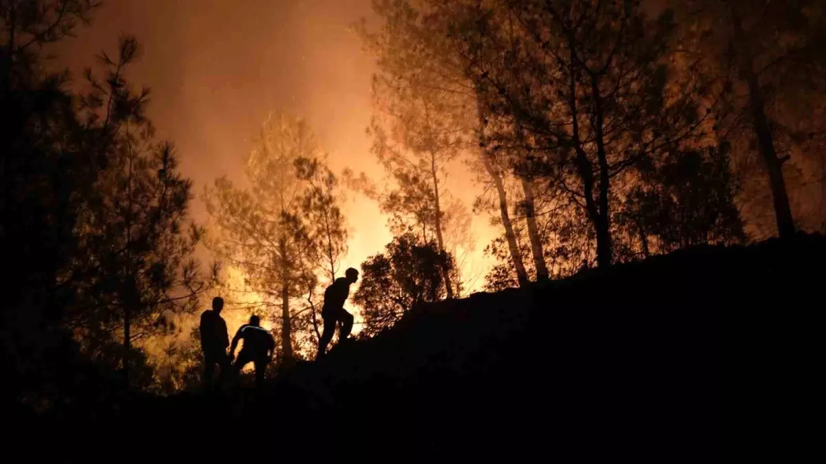 Muğla’da Orman Yangınlarıyla Mücadele Gece Gündüz Devam Ediyor