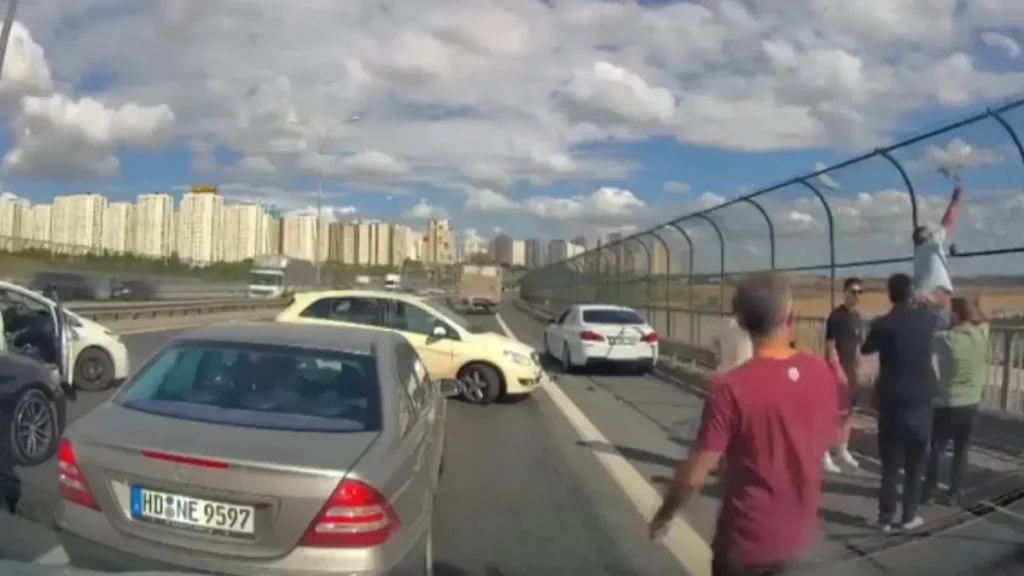 Kediyi Kurtarmak İsteyen Kadına Otomobil Çarptı