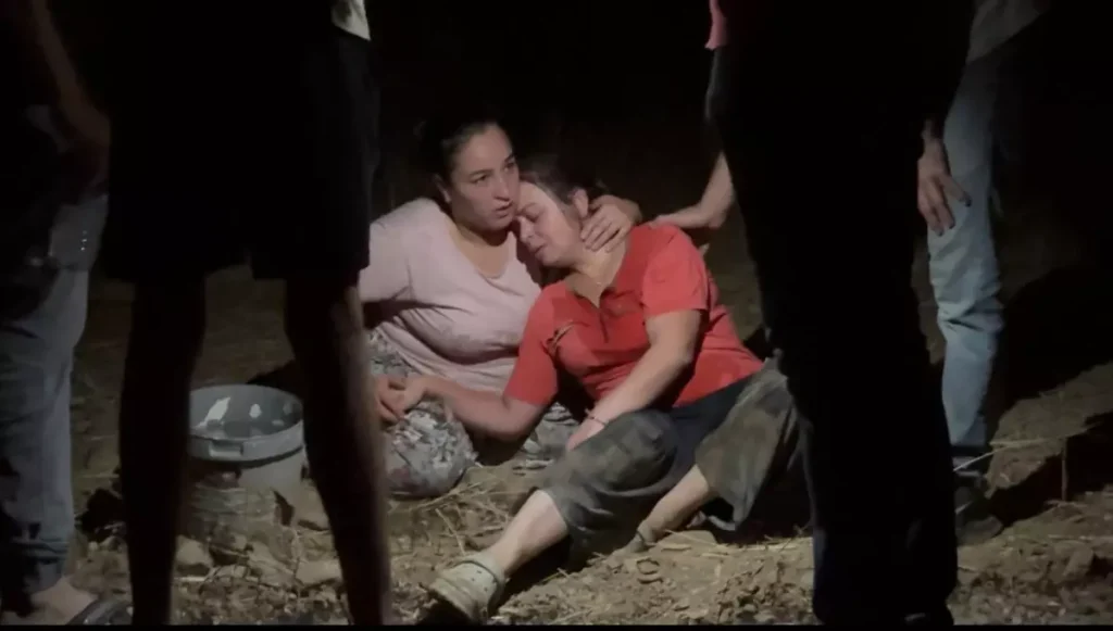 Zeytinlik Yangını 2 Saatlik Müdahaleyle Kontrol Altına Alındı