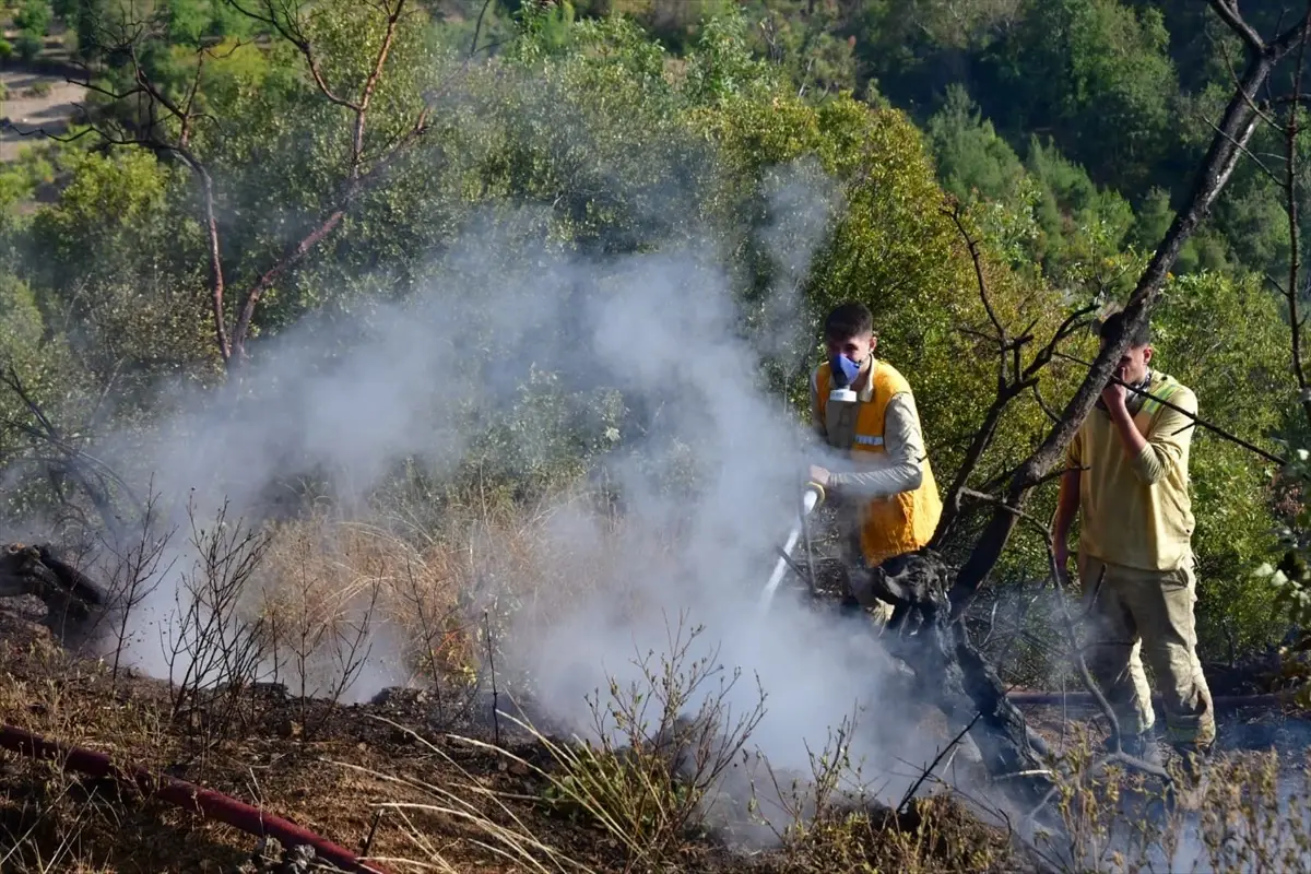 Balıkesir’de Kamyon Kazası ve Orman Yangını Kontrol Altına Alındı
