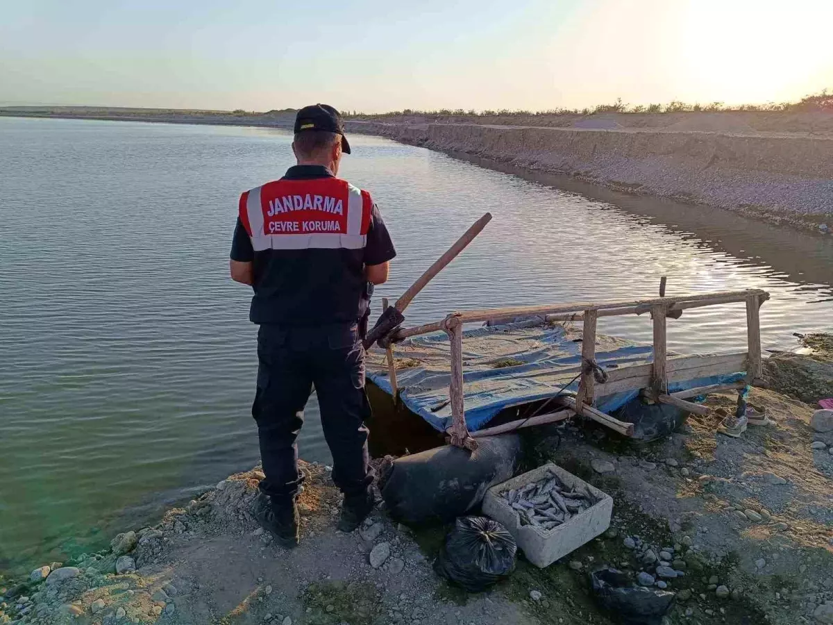 Doğal Yaşamı Tehdit Eden 250 Metre Hayalet Ağ Ele Geçirildi