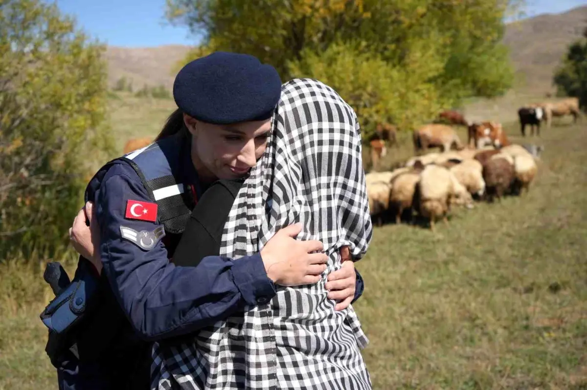 Bayburt’ta Kaybolan Koyunlar Jandarma Ekiplerince Bulundu
