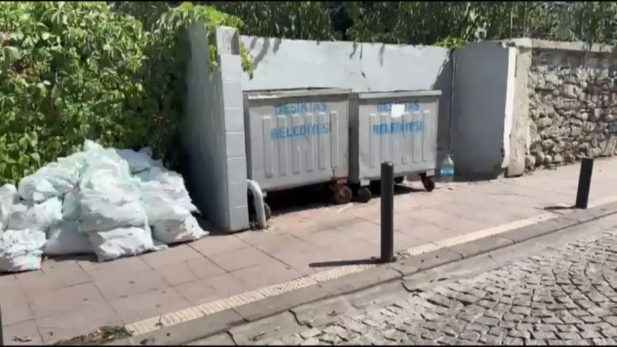 Beşiktaş’ta Çöp Konteynerine Bırakılan Bebek Cesedi