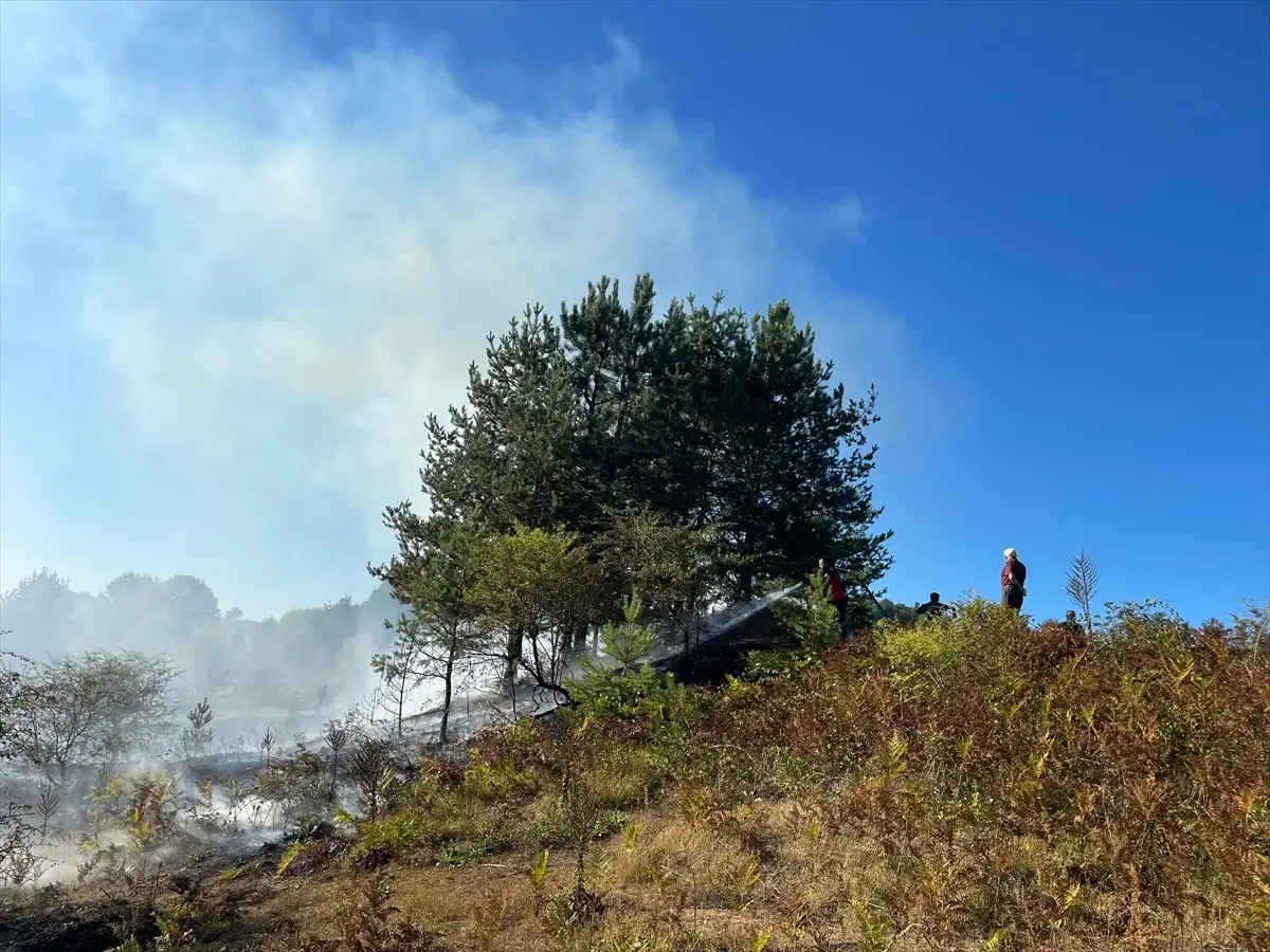 Bilecik’te Araziden Ormana Sıçrayan Yangın Kontrol Altına Alındı