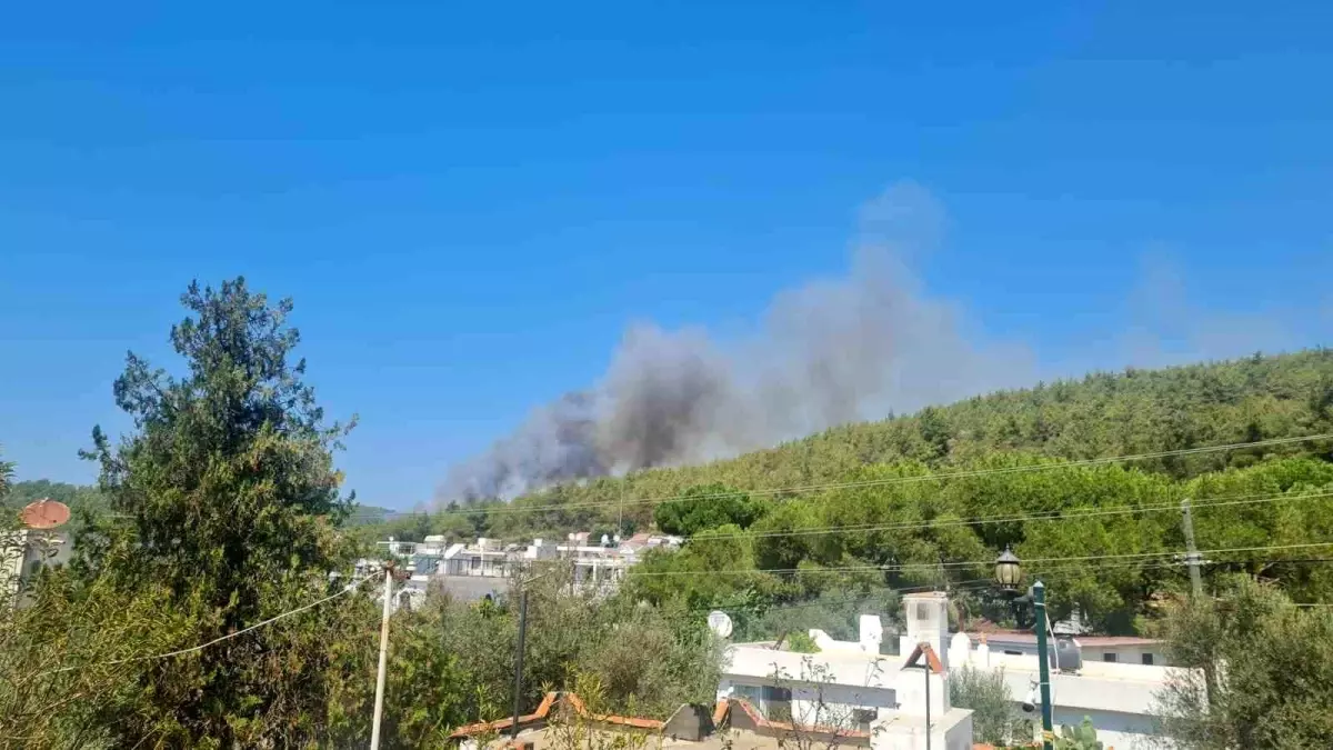 Bodrum Orman Yangını Kontrol Altına Alınmaya Çalışılıyor