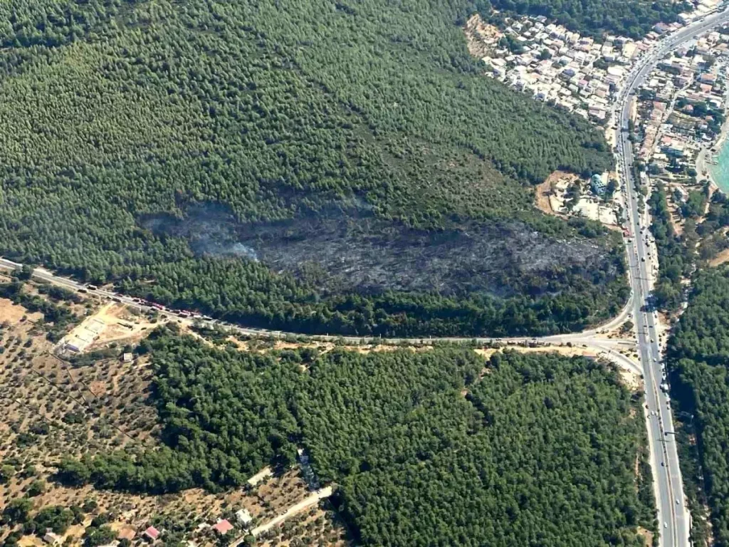 Bodrum’da Orman Yangını Kontrol Altına Alındı