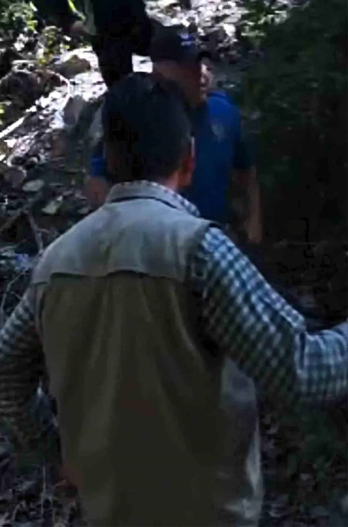 Boz Ayı Avlayan Avcılara 170 Bin TL Ceza