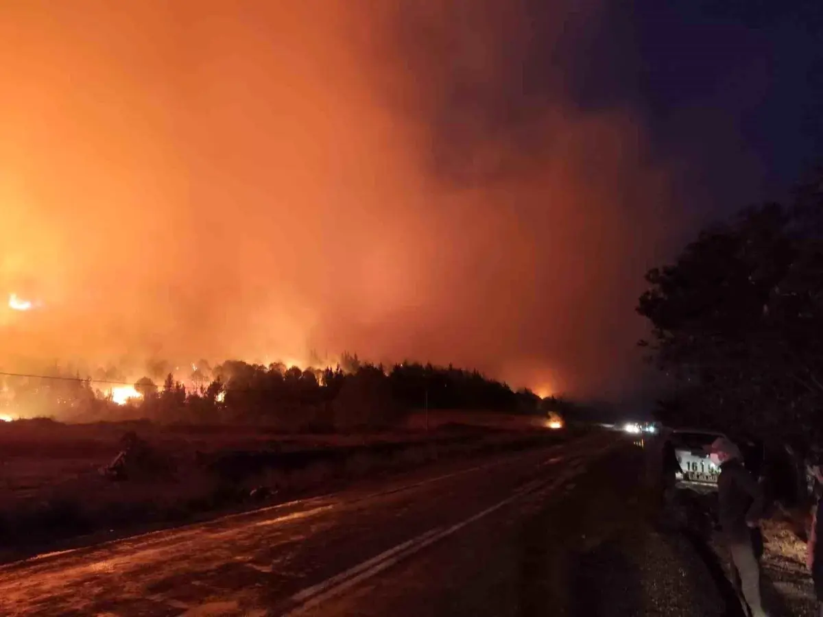 Bursa’da Orman Yangını Rüzgarın Etkisiyle Büyüdü