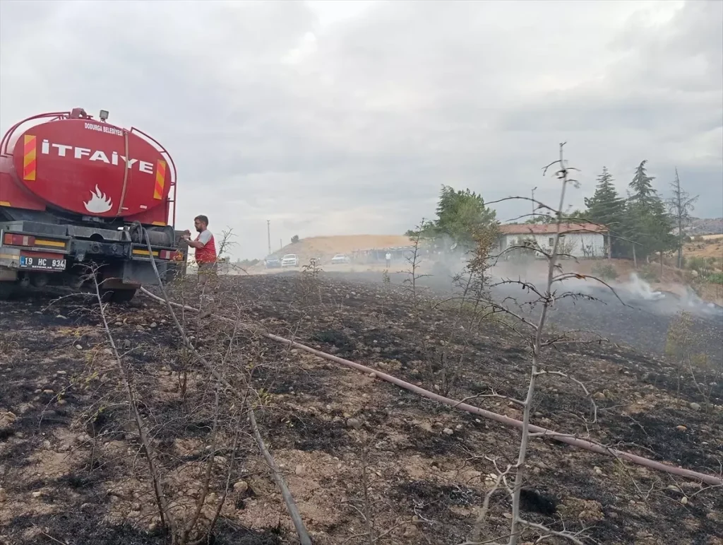 Çorum’da Yangın: 10 Dekar Ağaçlık Alan Zarar Gördü
