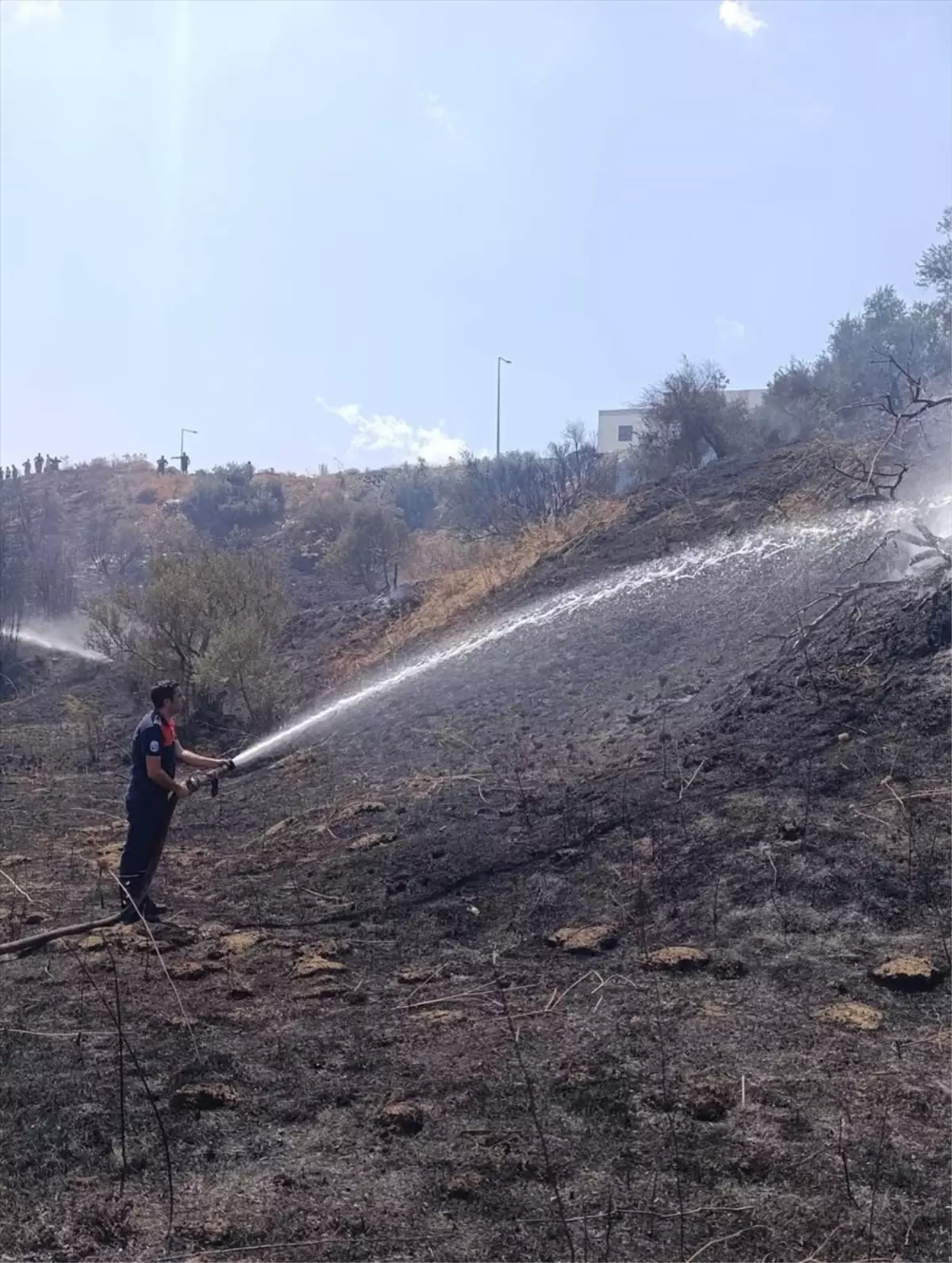Zeytinlik Alanda Çıkan Yangın Kontrol Altına Alındı