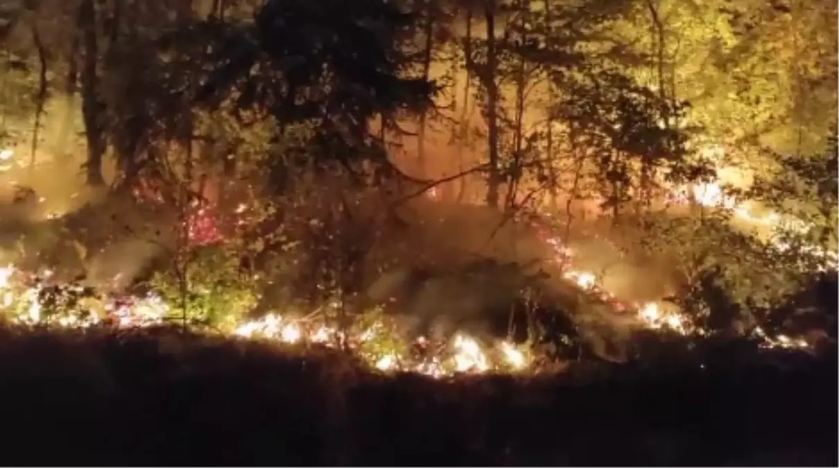 Düzce’de Orman Yangını 2 Saatte Kontrol Altına Alındı