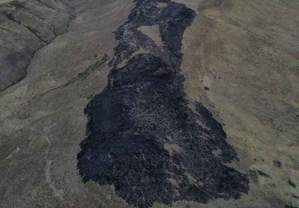 Elazığ’da Meraya Yayılan Yangın Kontrol Altına Alındı