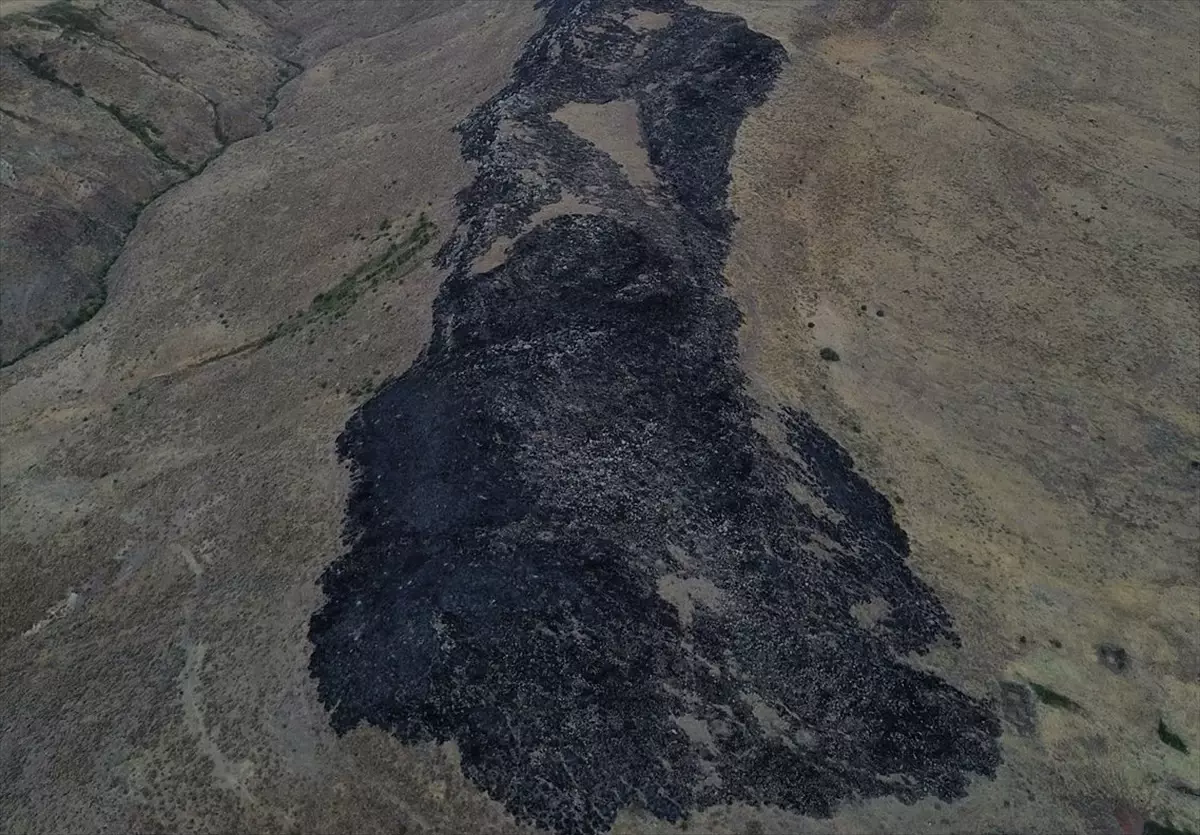 Elazığ’da Meraya Yayılan Yangın Kontrol Altına Alındı