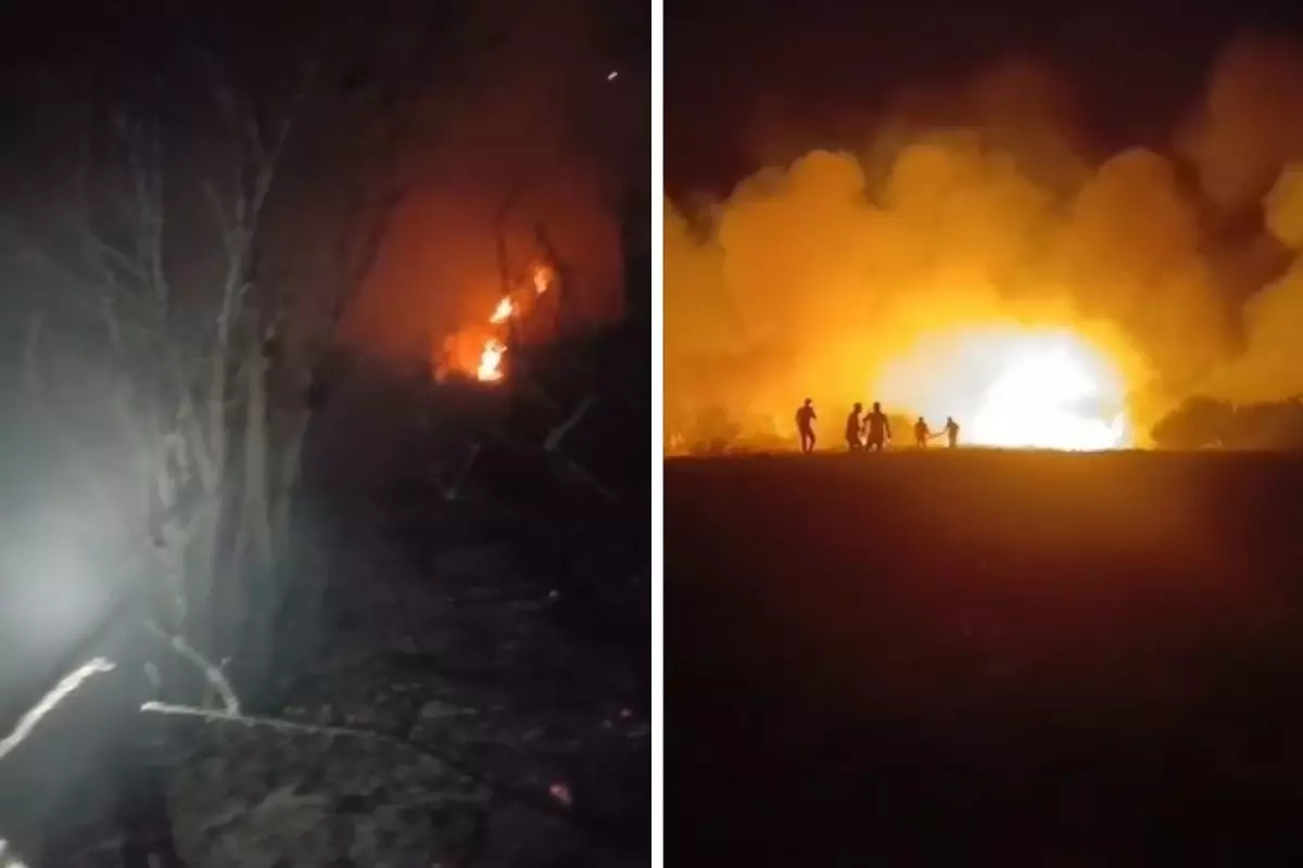 Elektrik Telleri Ormanı Kül Etti, Kontrol Altına Alındı