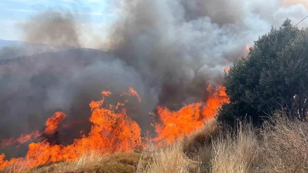 Balıkesir Erdek’te 100 Dönümlük Yangın Kontrol Altına Alındı