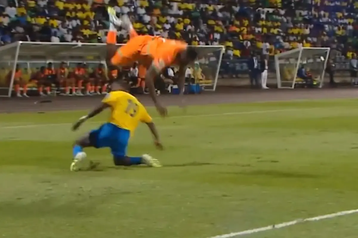 Singo Korku Dolu Dakikalar Yaşadı