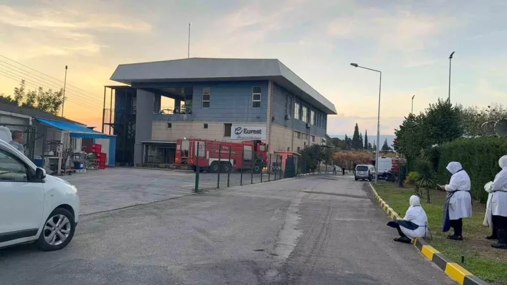 Gemlik Serbest Bölge’de Yangın Panik Yarattı