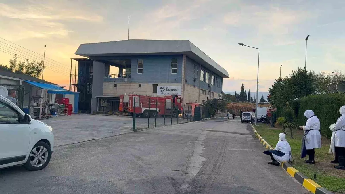 Gemlik Serbest Bölge’de Yangın Panik Yarattı