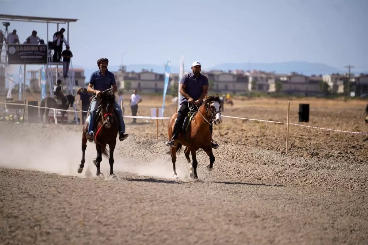 Ayvalık Rahvan At Yarışları Büyük İlgi Gördü
