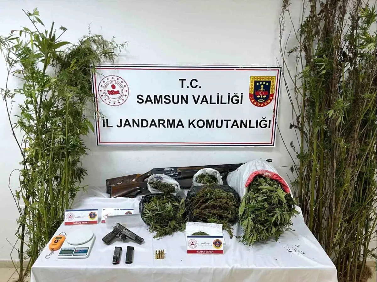 Samsun’da Jandarma Ekiplerinden Uyuşturucu Operasyonu