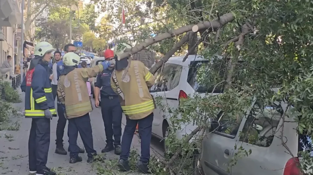 Ağacın Devrilmesiyle İki Otomobil Hasarlandı